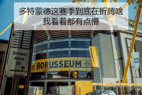 多特蒙德这赛季到底在折腾啥 我看着都有点懵 - leyu
