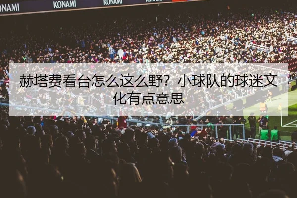he-ta-fei-kan-tai-zen-me-zhe-me-ye-xiao-qiu-dui-de-qiu-mi-wen-hua-you-dian-yi-si-2-867.jpg