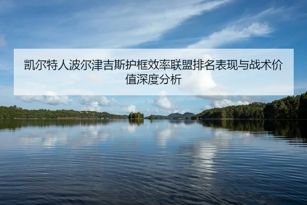 凯尔特人波尔津吉斯护框效率联盟排名表现与战术价值深度分析 - leyu