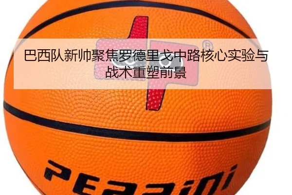 巴西队新帅聚焦罗德里戈中路核心实验与战术重塑前景 - leyu